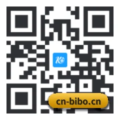系统版 iOS 二维码